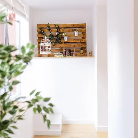 Place - Historic Center With Terrace Appartement *